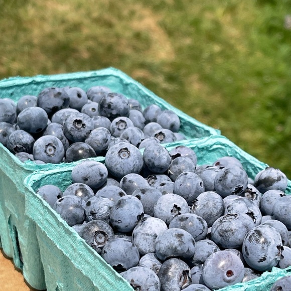 Meet your Posher, Ben - Picture 1 of 1